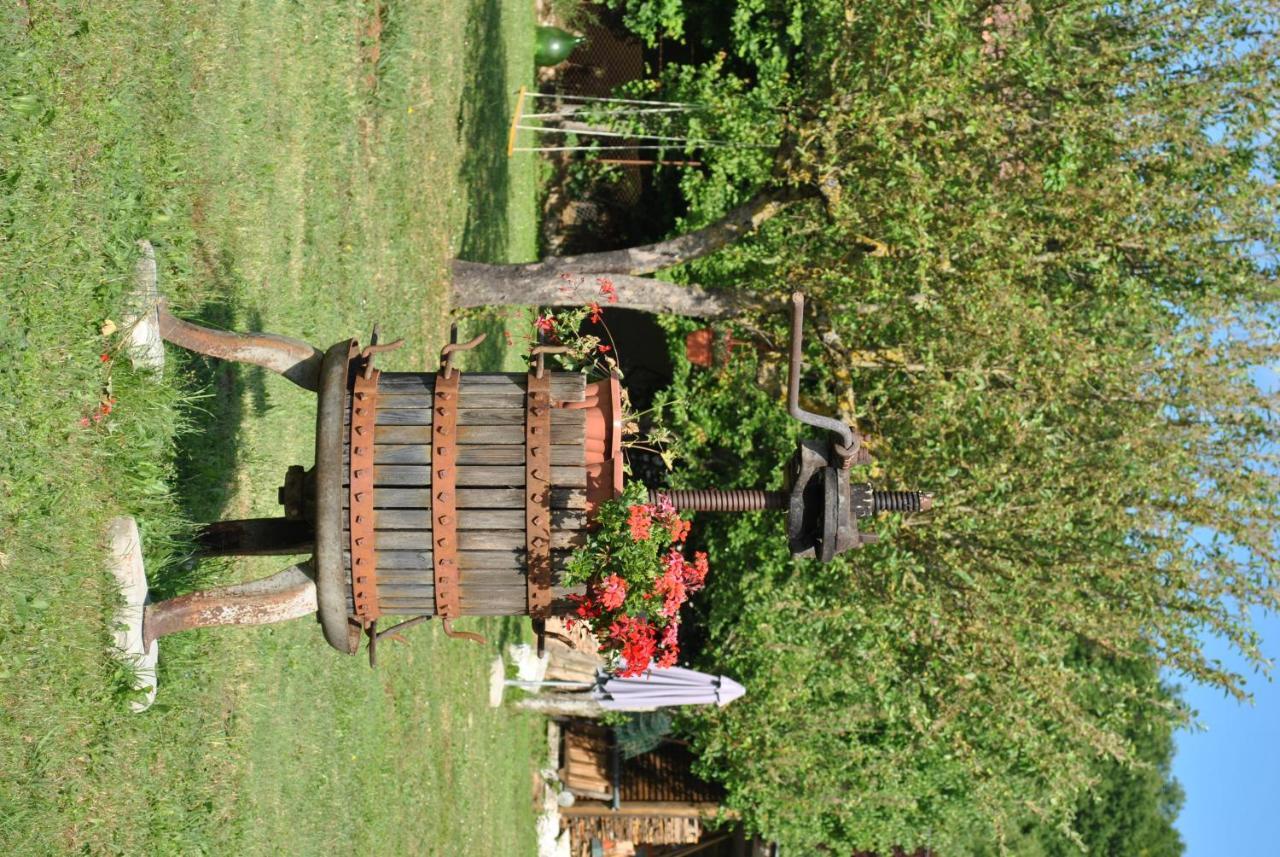 B&B A Casa Di Piero San Massimo  Exteriör bild