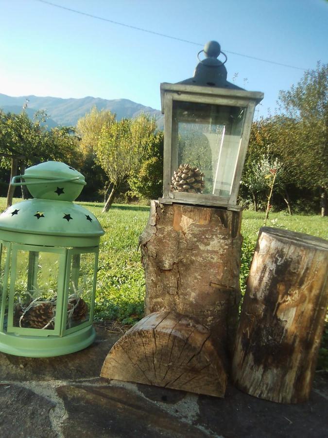 B&B A Casa Di Piero San Massimo  Exteriör bild
